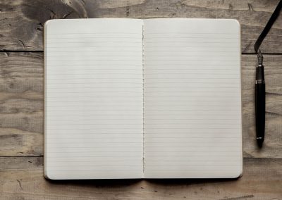 Fiction Book Consulting