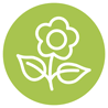 flowering icon