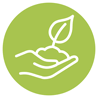 sprout icon